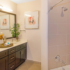 Designer master bath with quartz countertops Designer master bath with quartz countertops and ample lighting