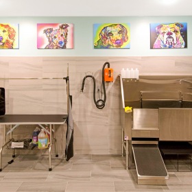 Pet-friendly with indoor pet spa indoor pet spa with ample lighting